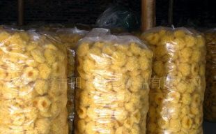 產(chǎn)地直銷，品質(zhì)無憂 古田銀耳（白木耳）的農(nóng)副產(chǎn)品魅力