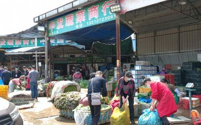 武漢重啟，白沙洲市場重現繁忙景象，采購車流如織保障農副產品供應