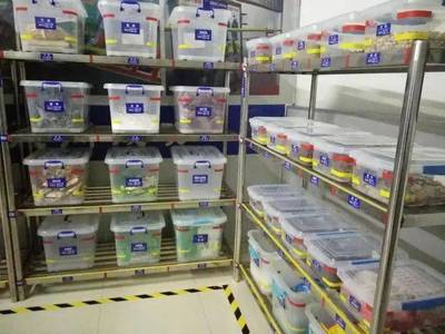【濟南站】5月22-23日中成偉業第80期《4D食品安全現場管理體系》公開課!