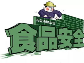 監(jiān)督網(wǎng)絡(luò)餐飲 維護(hù)食品安全