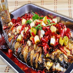 塔庫(kù)烤魚(yú)產(chǎn)品 塔庫(kù)烤魚(yú)產(chǎn)品圖片 塔庫(kù)烤魚(yú)怎么樣 最新塔庫(kù)烤魚(yú)產(chǎn)品展示 3158創(chuàng)業(yè)信息網(wǎng)